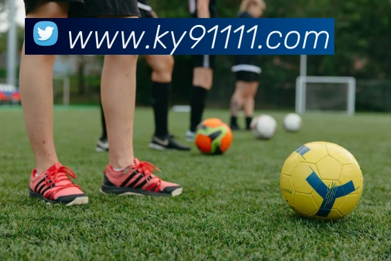 ky开云APP 封面图